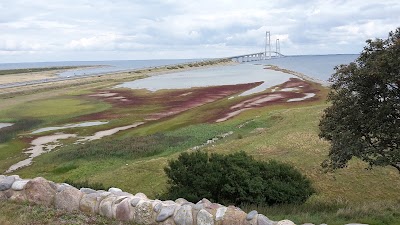 Photos of Storeb&aelig;lt