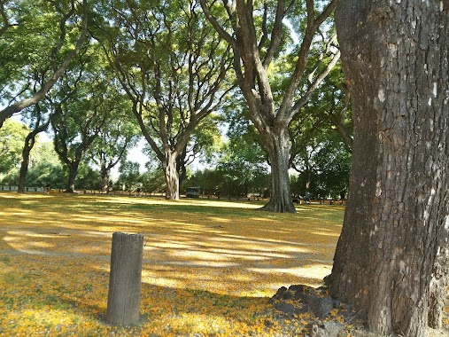 Plaza Ingeniero Félix Aguilar, Author: Cecilia Maldonado