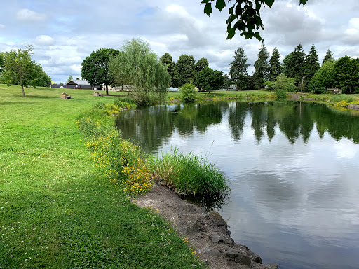 Periwinkle Park - Visual