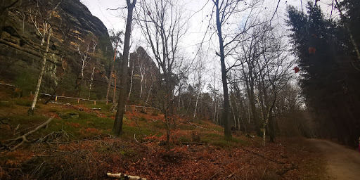 Rauschenstein - Visual