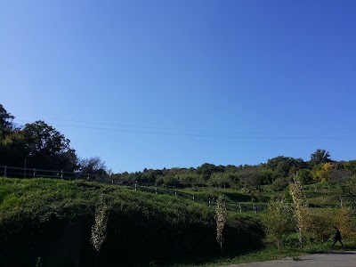 Orto Botanico Comunale di Girifalco