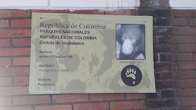 Photos of Camping Chingaza National Park
