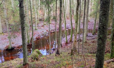 Photos of Oandu koprarada