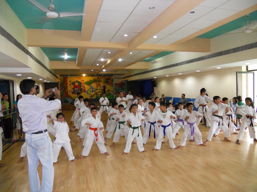 Kaishogun Martial Arts Sports Academy