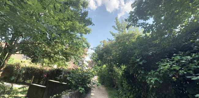 Parc départemental du Morbras