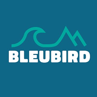 Bleubird East Belfast