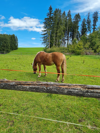 Pfronten im Allgäu - Thumbnail