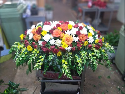 Belleview Florist Inc