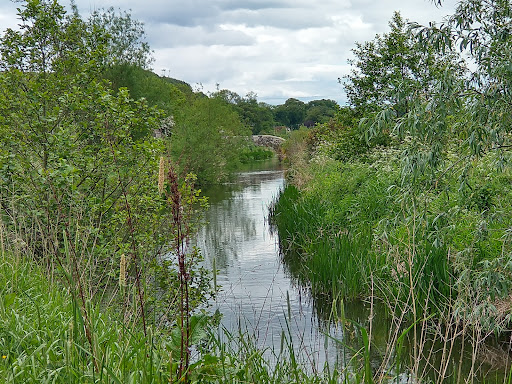 Cow Brae - Thumbnail