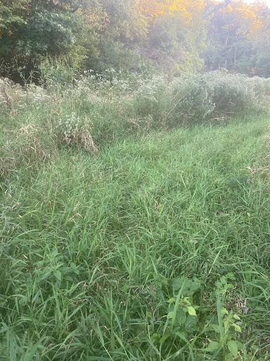 ParkLands Kenyon-Baller Woods Preserve - Thumbnail