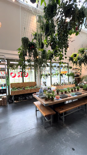 The Watered Garden Open Times