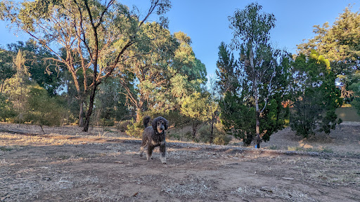 Kenton Avenue Reserve - Thumbnail