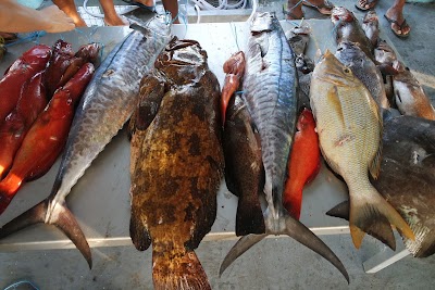 Photos of Lautoka Fisherman's Market