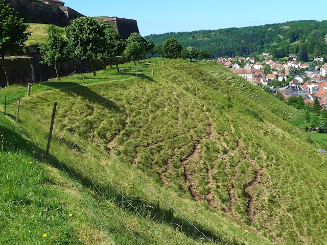 La citadelle de Bitche