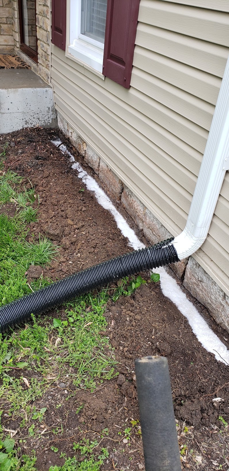 Pest Pros