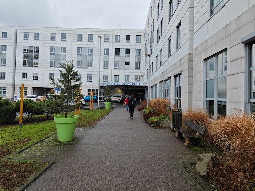 CHU Gabriel-Montpied Emergency Room