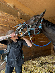 Photo n°19 de Technicien dentaire équin Goetz Louise Alsace-Grand Est à Barr (Vétérinaire)