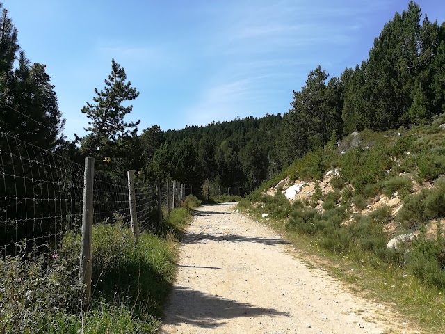 Parc Animalier des Angles en Capcir