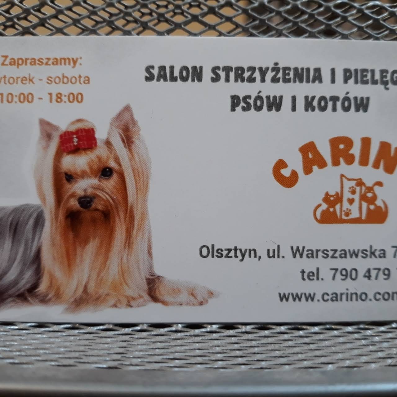 Carino Salon Strzyzenia I Pielegnacji Psow I Kotow Psi Fryzjer Olsztyn Fryzjer Dla Zwierzat W Olsztyn