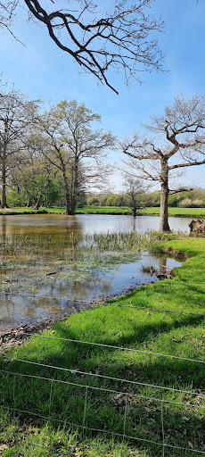 First Pond - Visual