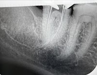 井関デンタルオフィス