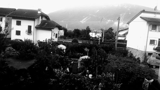 Avv. Antonia Tollot - Thumbnail