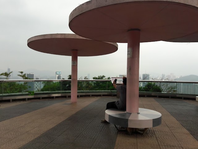 Stubbs Road Lookout
