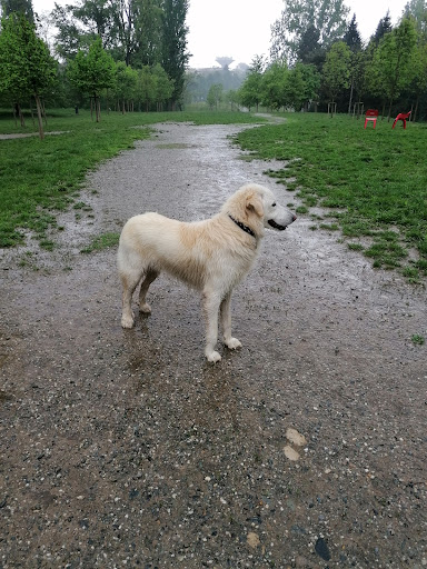Dog Area - Pellerina - Thumbnail