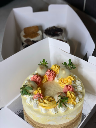 CheeesyCakess - Visual