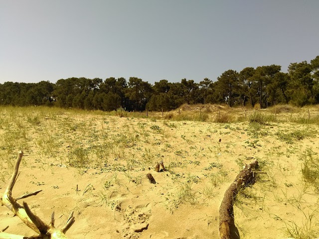 Plage de Gatseau