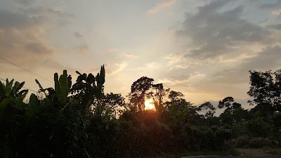 park