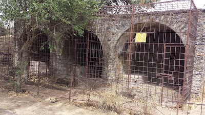 Photos of Royal Enclosure