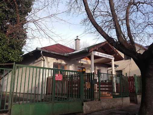 Lőrinci Veterinary Clinic and Grooming, Author: Tamásné Csorba