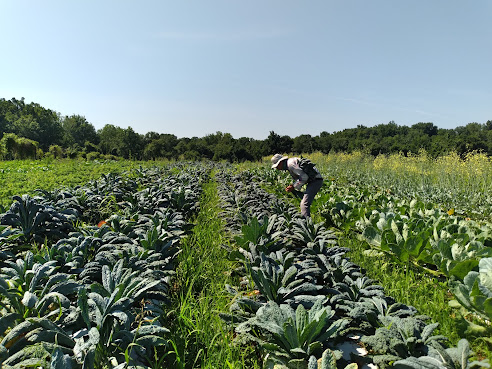 Willowsford Farm by null