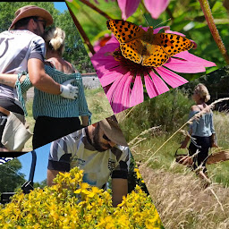 Photo n°14 de Natorel à Faux-la-Montagne (Camping avec cabanes)