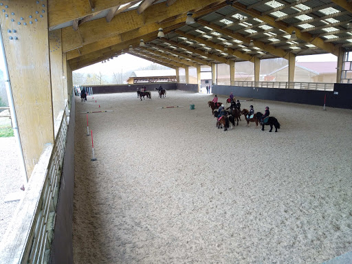 Pony Club Equestrian Center Du Terrier Blanc - Thumbnail