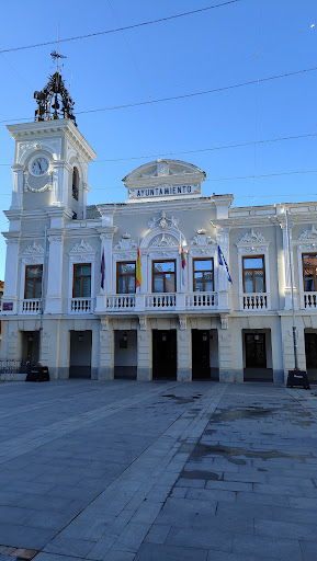 Guadalajara City Council
