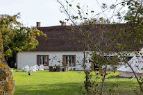 Le haras d'agathe et ses princes à Mandres