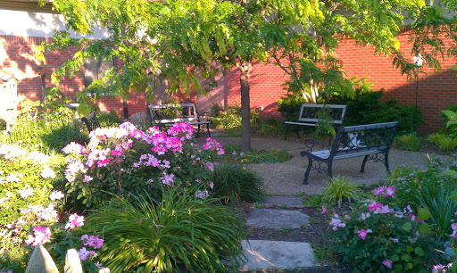 Rochester Public Library District Gallery - United States