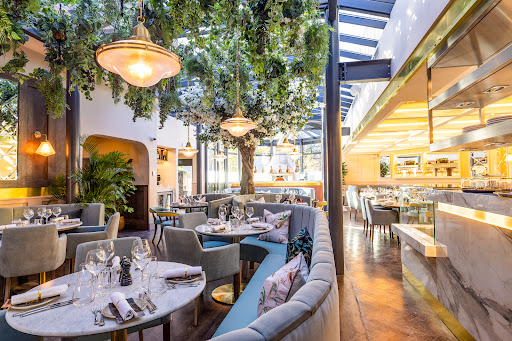 Piccolino Grande Wilmslow Gallery - United Kingdom