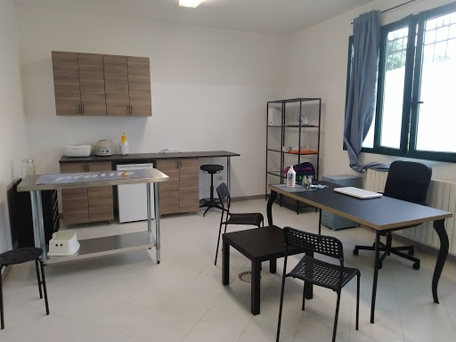 Studio veterinario Dott.ssa Ambra Calori Vigarano Pieve SI RICEVE SOLO PER APPUNTAMENTO - Thumbnail