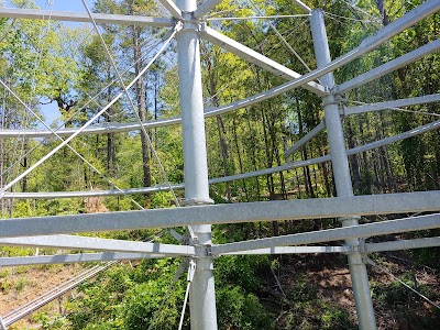 Rowdy Bear Mountain Coaster