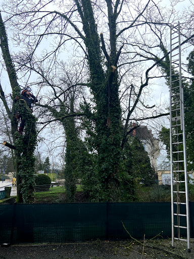 Photo de Palazzo à Vigneulles-lès-Hattonchâtel (55210)