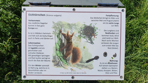 Keschteweg - Thumbnail