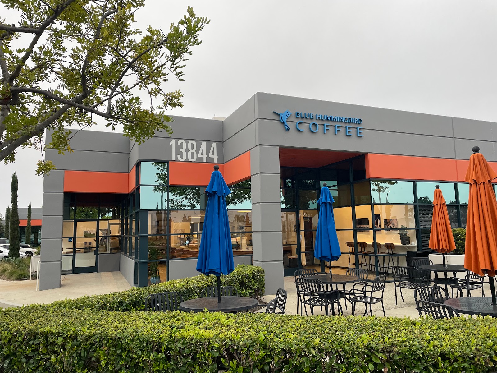 Blue Hummingbird Coffee — photo 1