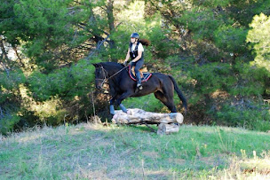 Photo n°11 de Le Fer à Cheval, centre équestre, poney club et centre de tourisme équestre à Mèze (Centre de randonnée équestre)