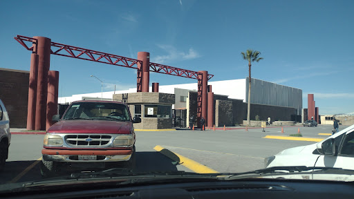Registro Público Coahuila - Thumbnail