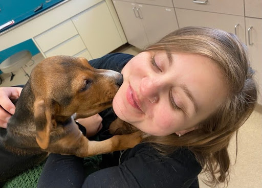 Lakeland Animal Care
