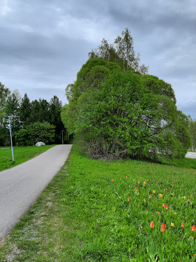 Björkskataleden - Visual