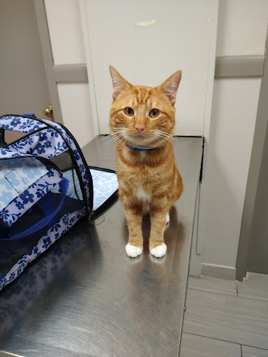Mission Bend Animal Clinic Gallery - United States
